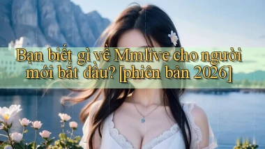 Bạn biết gì về Mmlive cho người mới bắt đầu [phiên bản 2026]