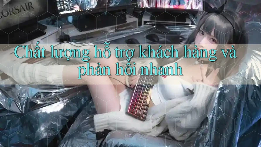 Chất lượng hỗ trợ khách hàng và phản hồi nhanh Chất lượng hỗ trợ khách hàng và phản hồi nhanh