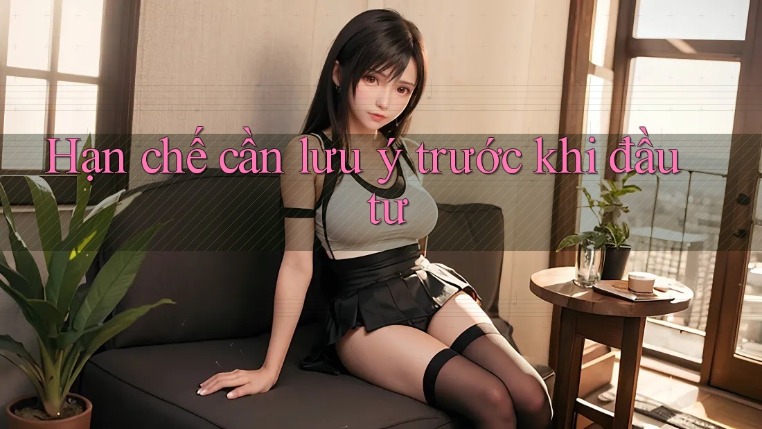 Hạn chế cần lưu ý trước khi đầu tư