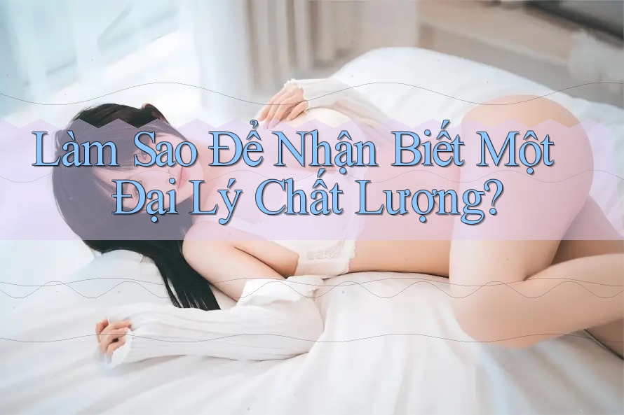 Làm Sao Để Nhận Biết Một Đại Lý Chất Lượng? Làm Sao Để Nhận Biết Một Đại Lý Chất Lượng?