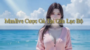 mmlive  cược gà tại câu lạc bộ