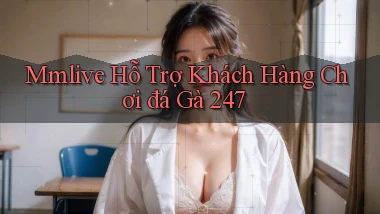 mmlive  hỗ trợ khách hàng chơi đá gà 24／7