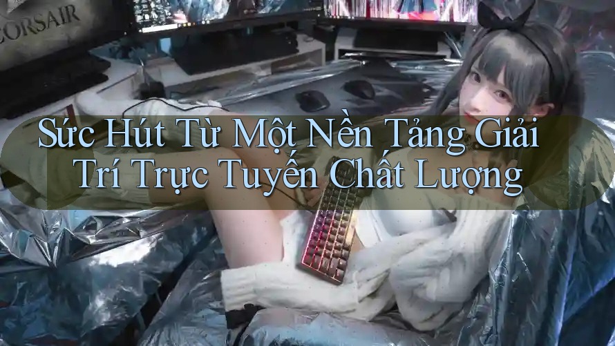 Sức Hút Từ Một Nền Tảng Giải Trí Trực Tuyến Chất Lượng Sức Hút Từ Một Nền Tảng Giải Trí Trực Tuyến Chất Lượng