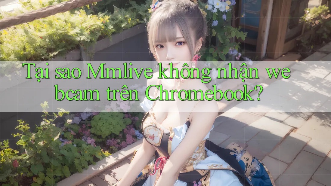 Tại sao Mmlive không nhận webcam trên Chromebook?