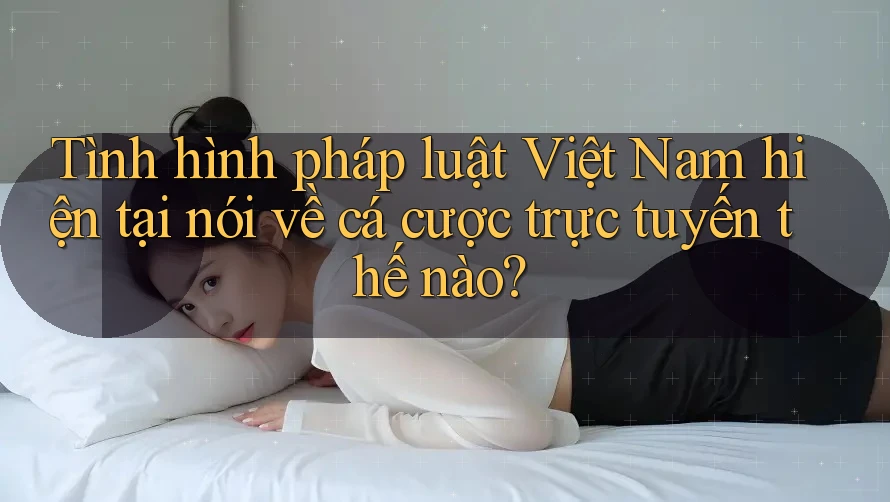 Tình hình pháp luật Việt Nam hiện tại nói về cá cược trực tuyến thế nào? Tình hình pháp luật Việt Nam hiện tại nói về cá cược trực tuyến thế nào?