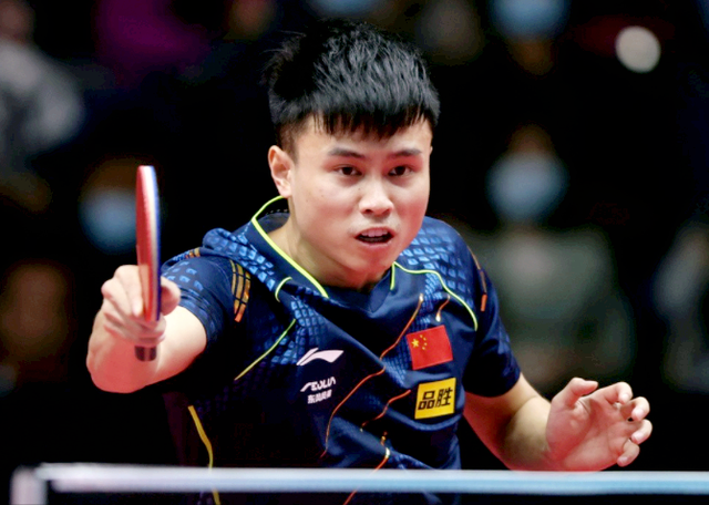 功引入维尼 功引入维尼