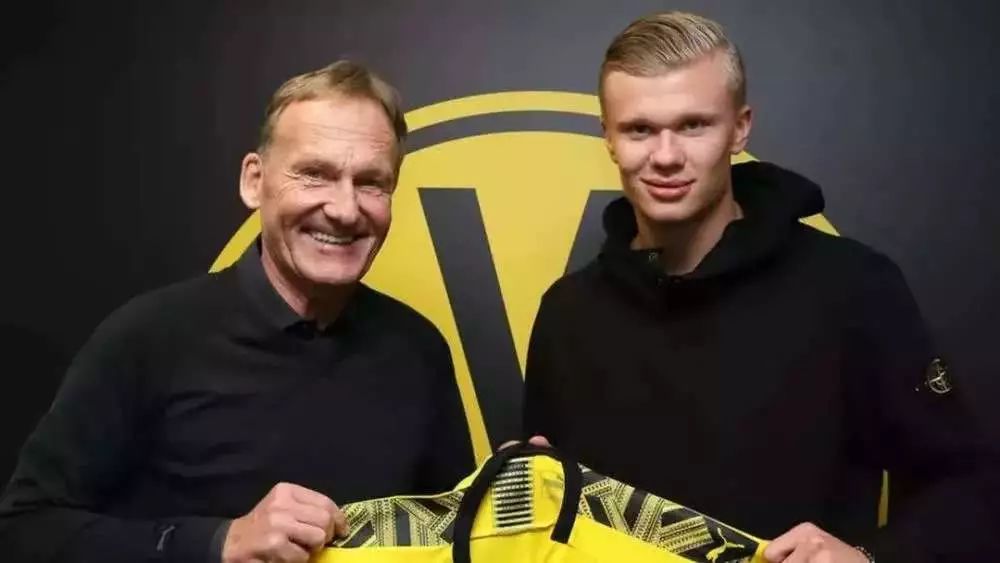 洞察投手 洞察投手